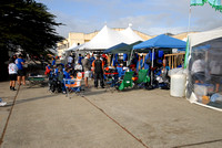 The Festival