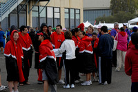 The Festival